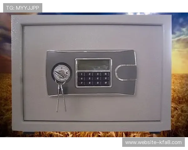 K8凯发app网址常见问题解答与安全登录技巧，帮助用户解决登录难题提升游戏体验